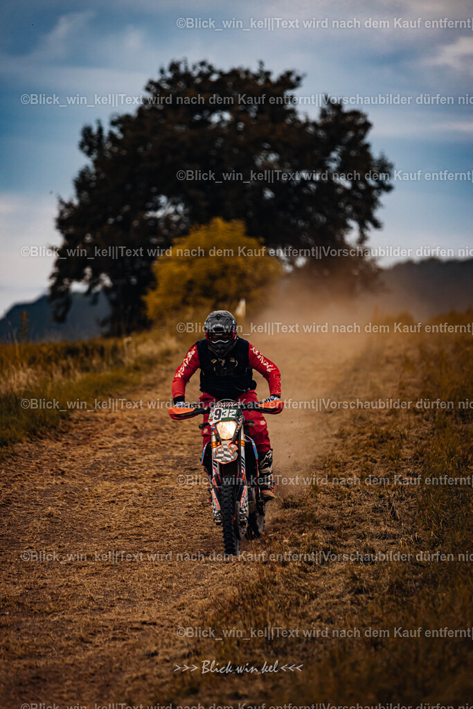 E68A8265 | blick_win_kel