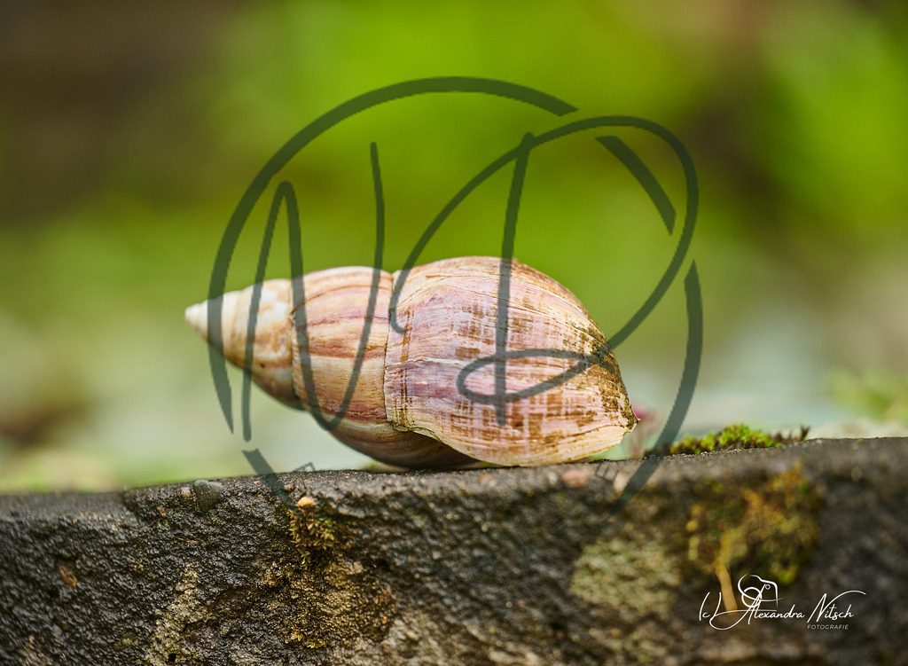 ndfoto_DSC_0748_Original (priv. Nutzung)_b0603dd4_ | nitsch-dingeldein fotografie - Realisiert mit Pictrs.com