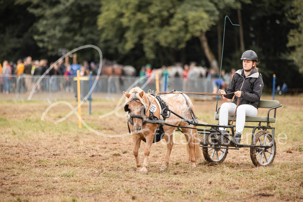 846A3696 | fotosleben - Realisiert mit Pictrs.com