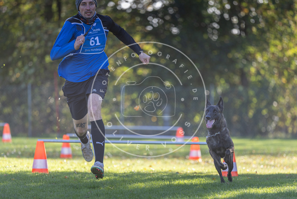 Pfotenfotografie.de_DV3A3126 | Hundefotografie, Tierfotograf, Pfotenfotografie, Fotoshooting Hund, Hunde Portrait, Hundesport, Hundeportraits, Heideshooting, Hunde, Sportfotograf, Hundefotograf, Turnierhundsport, THS, canicross - Realisiert mit Pictrs.com