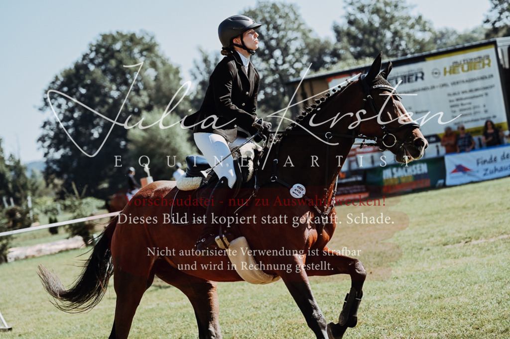 DSC_5829 | Pferde- und Turnierfotografie in Westsachsen. Pferdeportraits, Auftragszeichnungen und intuitive Kunst.