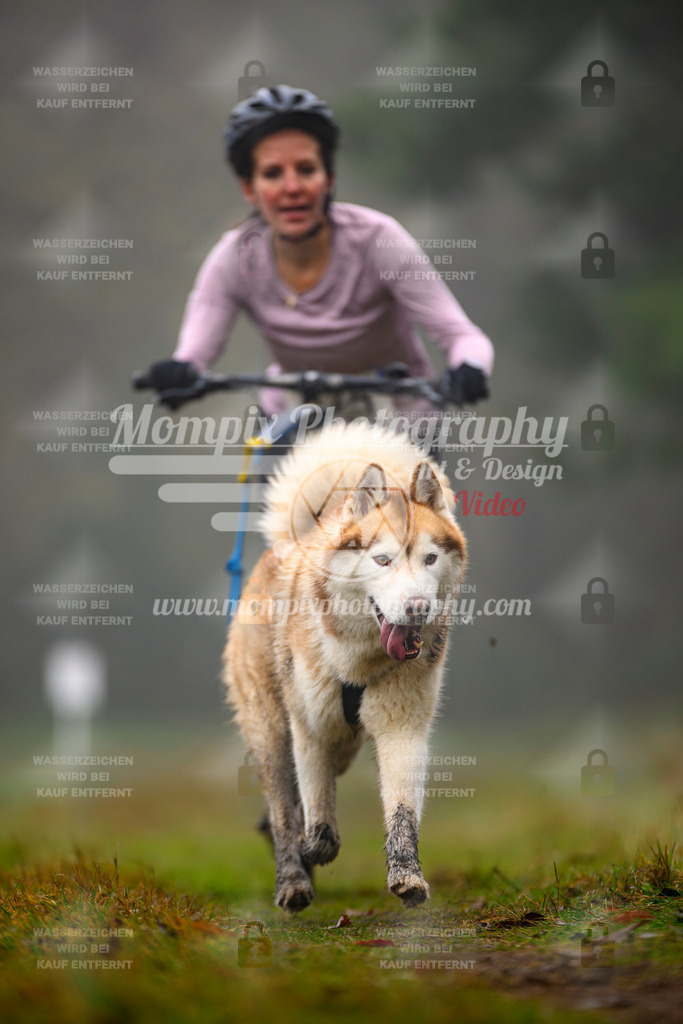 MompixPhotography_Bischwiller2025_Scooter-63 | mompixphotography