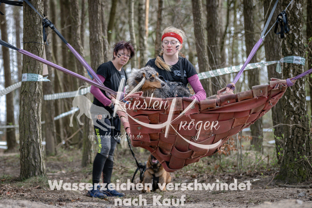 1217DSC_1181 | kk-dogfotos