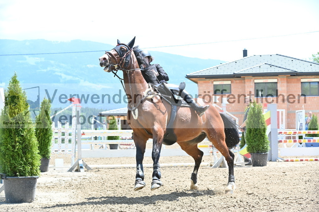 DSC_9260 | equestrian-live-com