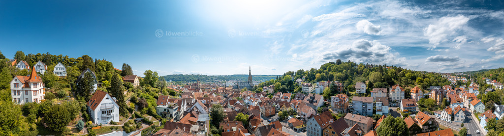 Esslingen im Sommer | löwenblicke | shop