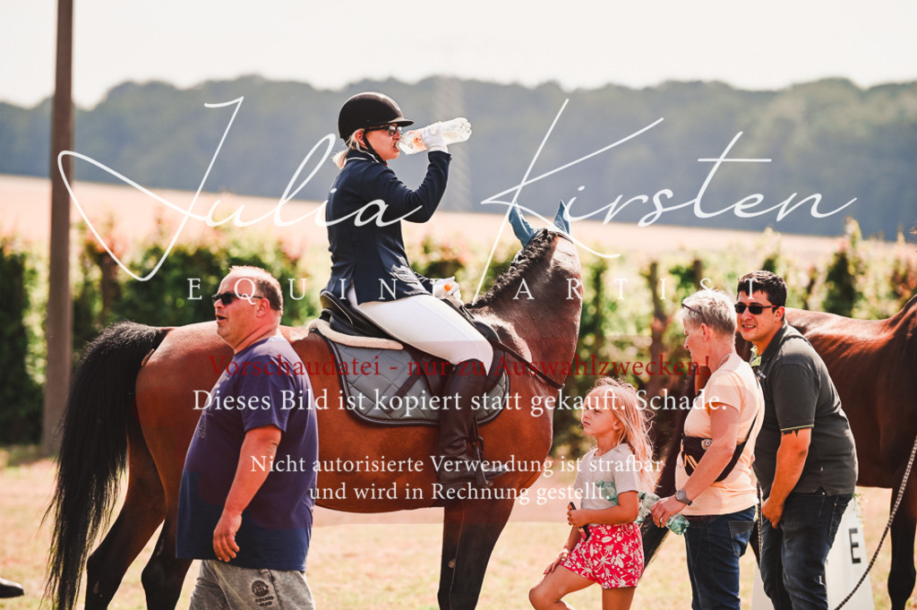 DSC_7164 | Pferde- und Turnierfotografie in Westsachsen. Pferdeportraits, Auftragszeichnungen und intuitive Kunst.