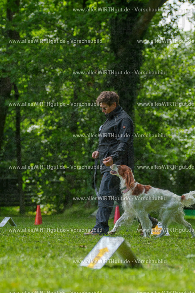 @allesWIRTHgut_Tierfotografie - www.allesWIRTHgut.de - 7R505744 | Professionelle Tierfotografie in Mönchengladbach von Daniel Wirth (allesWIRTHgut). Liebevolle & natürliche Bilder von Hunden & Katzen für unvergessliche Erinnerungen.