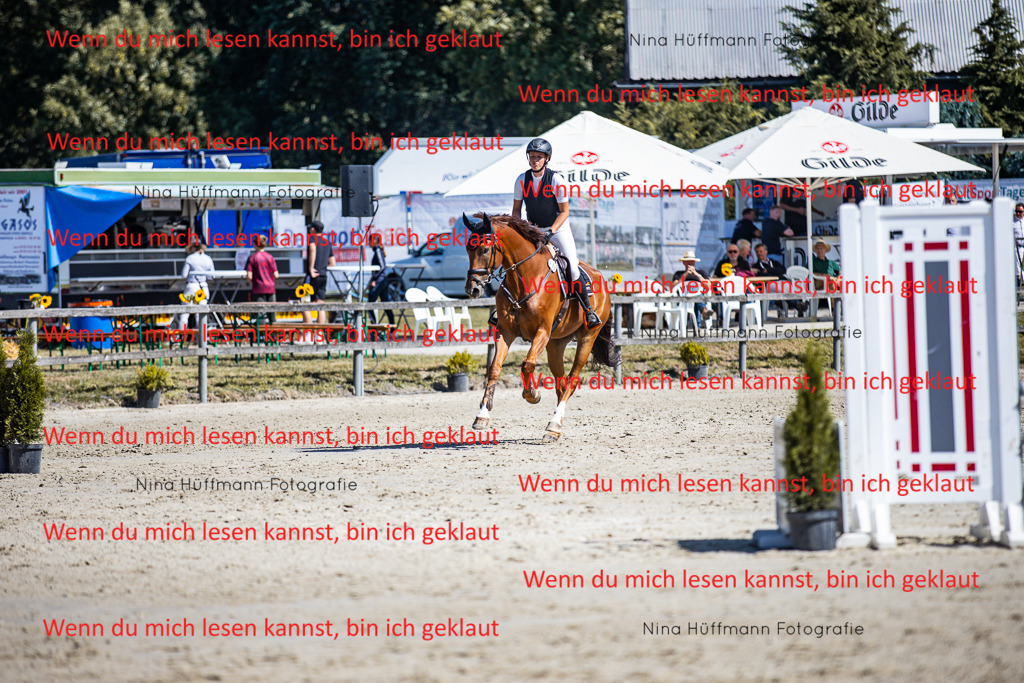BK1A5513 | Turnierbilder Turnierfotos Nina Hüffmann Turnierfotografie Pferdefotografie Tierzeichnung Haustierzeichnung Pferdezeichnung Hundezeichnung Videograf  - Realisiert mit Pictrs.com