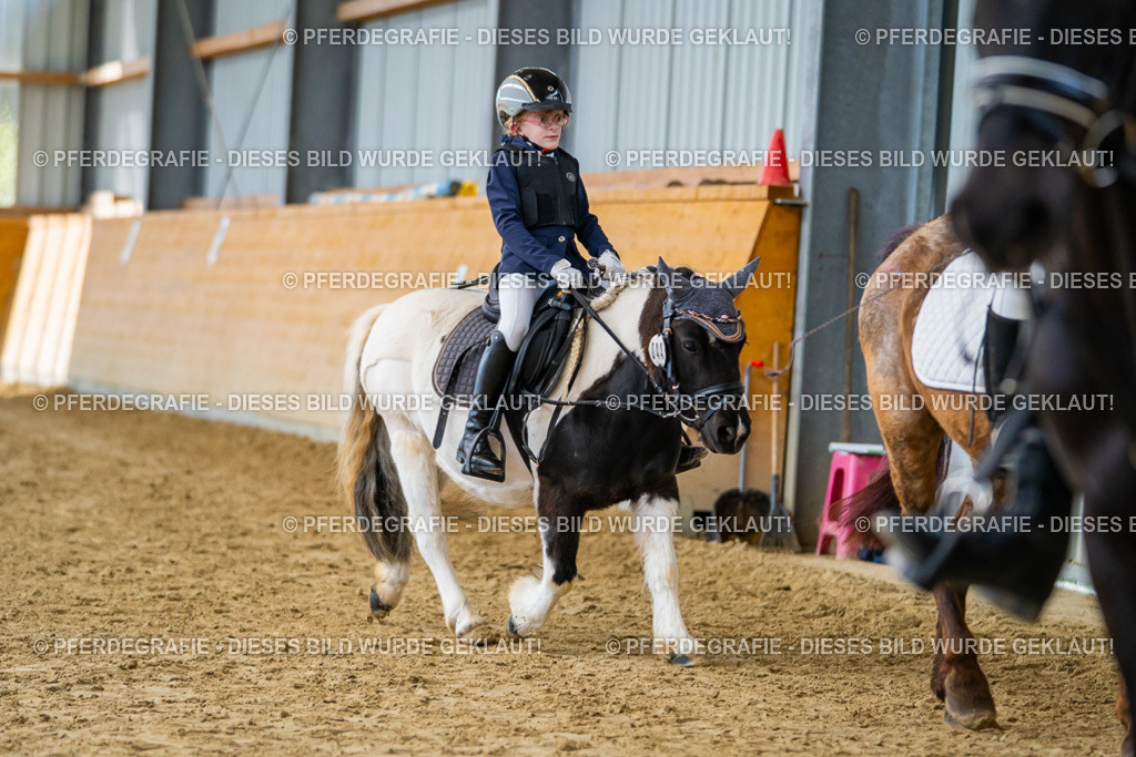 DSC01336 | Pferdegrafie