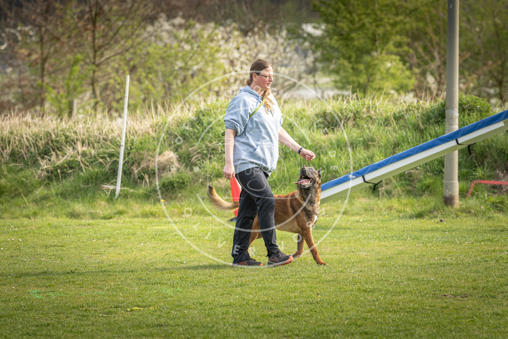 Pfotenfotografie_DV3A4968 | Hundefotografie, Tierfotograf, Pfotenfotografie, Fotoshooting Hund, Hunde Portrait, Hundesport, Hundeportraits, Heideshooting, Hunde, Sportfotograf, Hundefotograf, Turnierhundsport, THS,  - Realisiert mit Pictrs.com