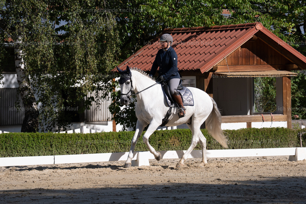 WL_DR_47_sinafilmart_IN06285 | working equitationturnier fotograf videograf stoibphotography marixx film working equitation deutschland reitsport turnierfotografie eventfotografie equestrian events