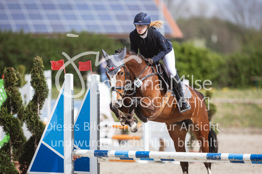 250419_Frühlingsfest_A-Stil1-486 | Deine schönsten Turniermomente als professionelle Fotos! Entdecke hochwertige Pferdesport-Fotografie im Online-Shop. Jetzt Fotos finden & bestellen!