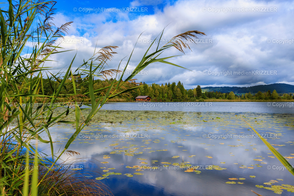 Hopfensee | medienkrizzler - Realisiert mit Pictrs.com