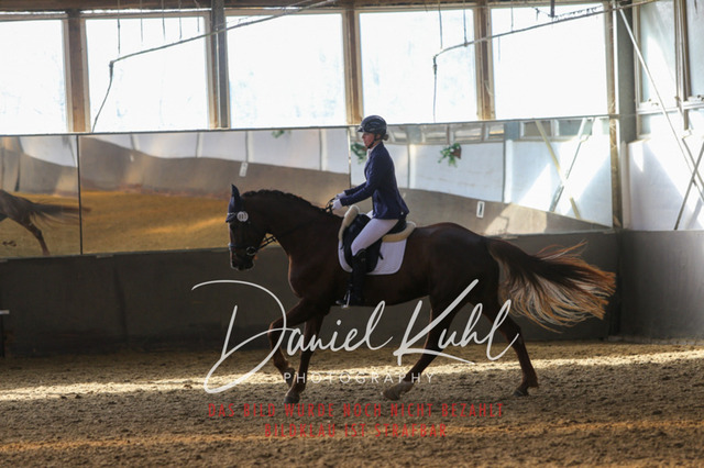 IMG_2256 | Turniersportfotografie; Pferdefotografie; Dressurfotografie
