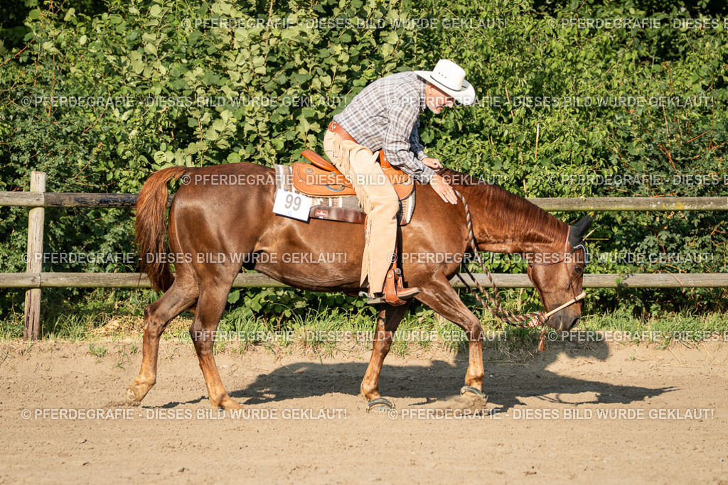 DSC05809 | Pferdegrafie