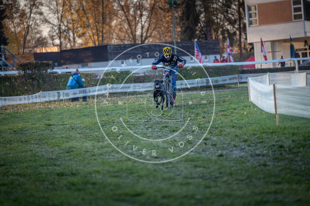 CaniXpix_0L8A1259 | Hundefotografie, Tierfotograf, Pfotenfotografie, Fotoshooting Hund, Hunde Portrait, Hundesport, Hundeportraits, Heideshooting, Hunde, Sportfotograf, Hundefotograf, Turnierhundsport, THS,  - Realisiert mit Pictrs.com