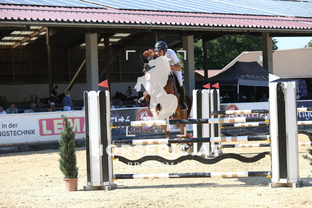 DL2Q4840 | Willkommen bei Brunnmayr - Design & Fotografie – Ihrem Spezialisten für Reitturniere und Pferdeveranstaltungen in Oberösterreich, Salzburg und Bayern! Seit über 17 Jahren sind wir leidenschaftlich dabei.