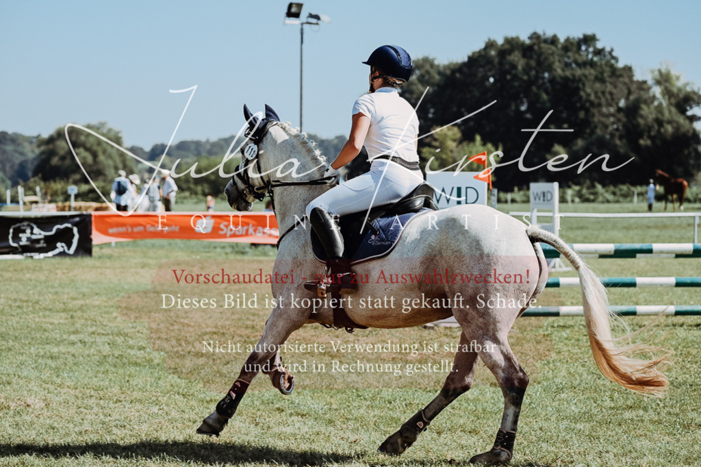 DSC_6112 | Pferde- und Turnierfotografie in Westsachsen. Pferdeportraits, Auftragszeichnungen und intuitive Kunst.