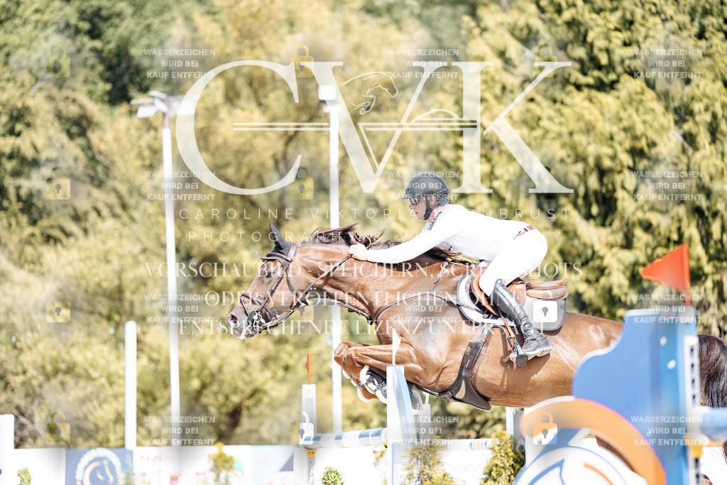 CK904977 | Turnierfotografie Pferdefotografie Trier Rheinland-Pfalz Pferdesport Reitsport Tierfotografie Sportfotografie Pferdevideo Pferdevideografie Equestrianvideography equestrianphotography  - Realisiert mit Pictrs.com
