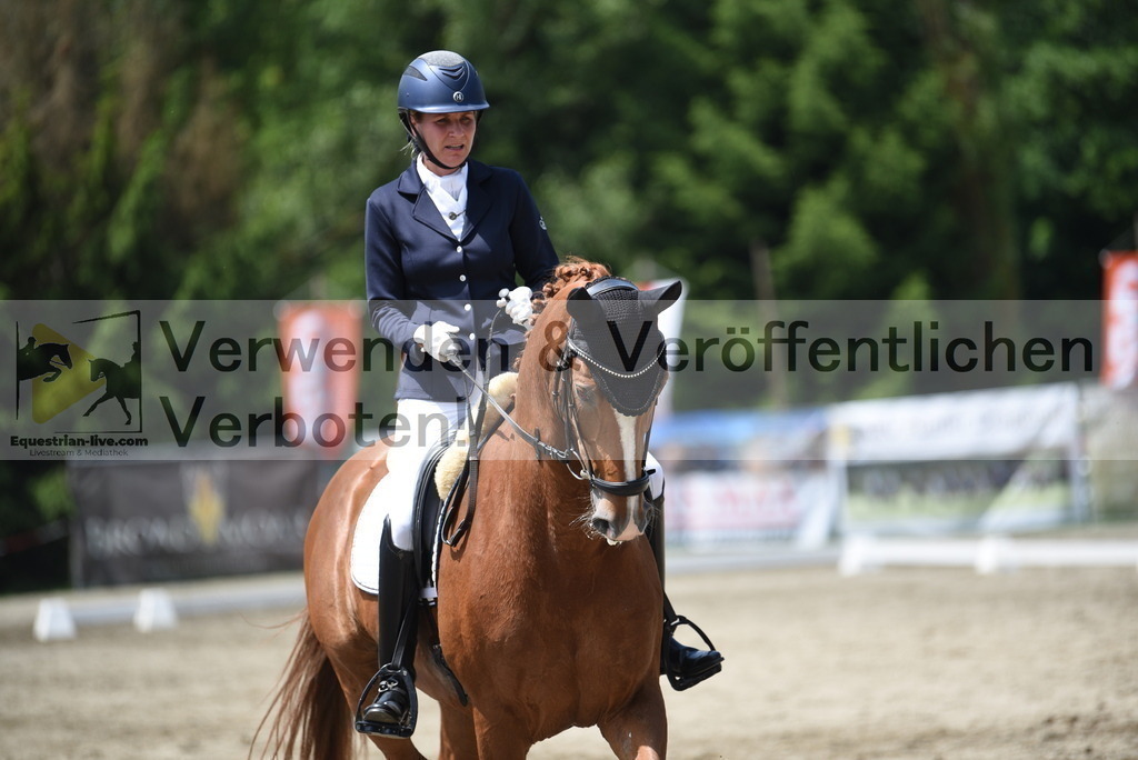 DSC_9305 | equestrian-live-com