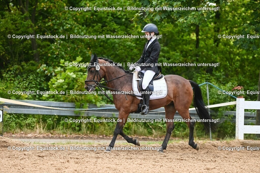 20230716_10-2_Reiter-WB Schritt - Trab - Galopp_0126 | equistock