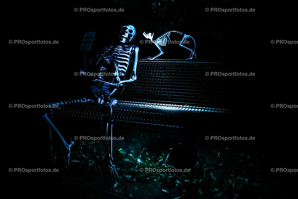 Halloween Run 2022 in Koeln, 31.10.2022 | Impressionen vom Halloween Run 2022 am 31.10.2022 in Koeln (Forstbotanischer Garten Rodenkirchen). Foto: BEAUTIFUL SPORTS/Axel Kohring