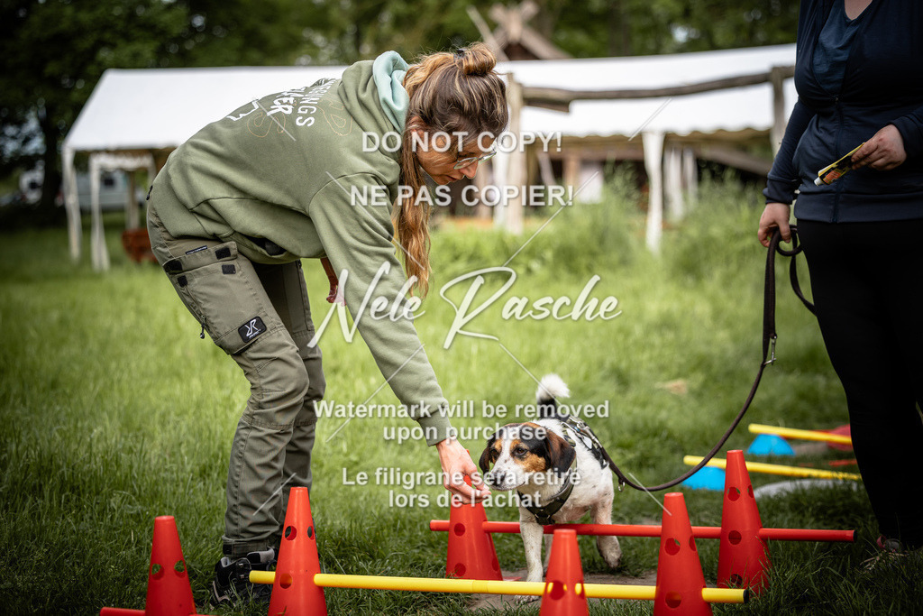 nelerasche_So-earlydog_47 | nelerasche
