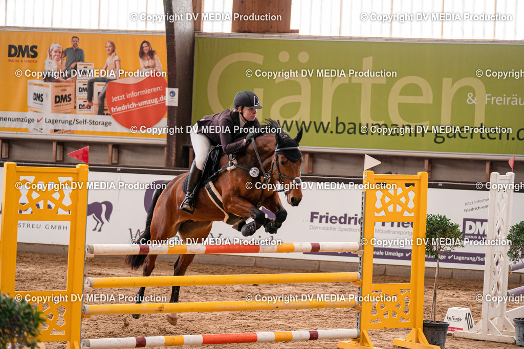 Kranichstein Tag 3-843 | dv-media-shop - Realisiert mit Pictrs.com