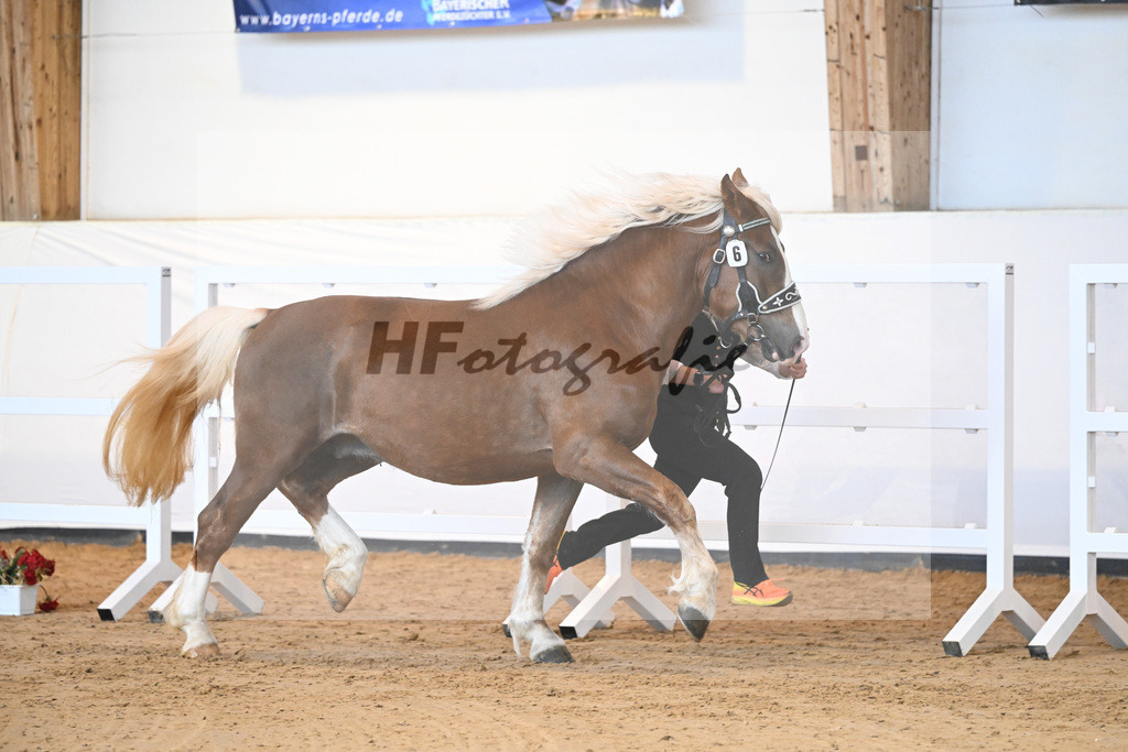 Kat-Nr. 6 v. Versailles_Neumayr_2230049 | hf-fotografie - Realisiert mit Pictrs.com