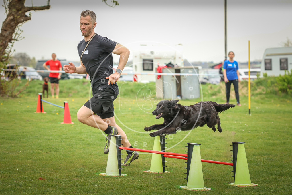 Pfotenfotografie_0L8A0127 | Hundefotografie, Tierfotograf, Pfotenfotografie, Fotoshooting Hund, Hunde Portrait, Hundesport, Hundeportraits, Heideshooting, Hunde, Sportfotograf, Hundefotograf, Turnierhundsport, THS,  - Realisiert mit Pictrs.com