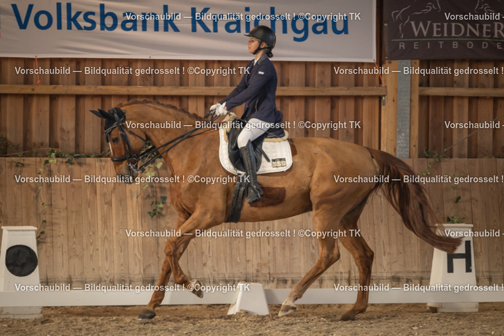 _D5A3282 | Emotionale Pferde- & People-Fotografie rund um Heidelberg, Leimen & Umgebung. Natürliche Fotos von Pferd, Mensch & Familie. Jetzt Termin sichern!