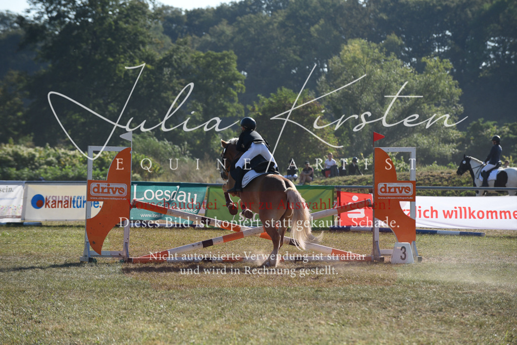 DSC_5798 | Pferde- und Turnierfotografie in Westsachsen. Pferdeportraits, Auftragszeichnungen und intuitive Kunst.