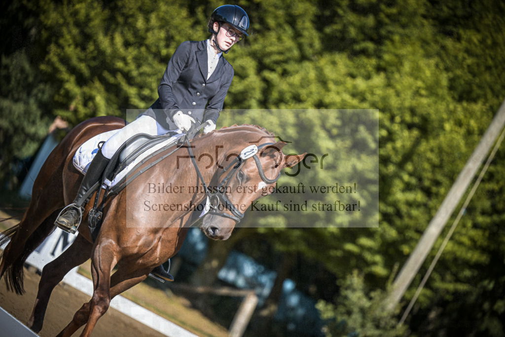 DOS_2194 | Entdecke hochwertige Reitturnierfotos von Foto Oger. Professionell, emotional und authentisch – jetzt Lieblingsmomente im Shop bestellen.Deutschlandweite Turnierfotografie. - Realisiert mit Pictrs.com