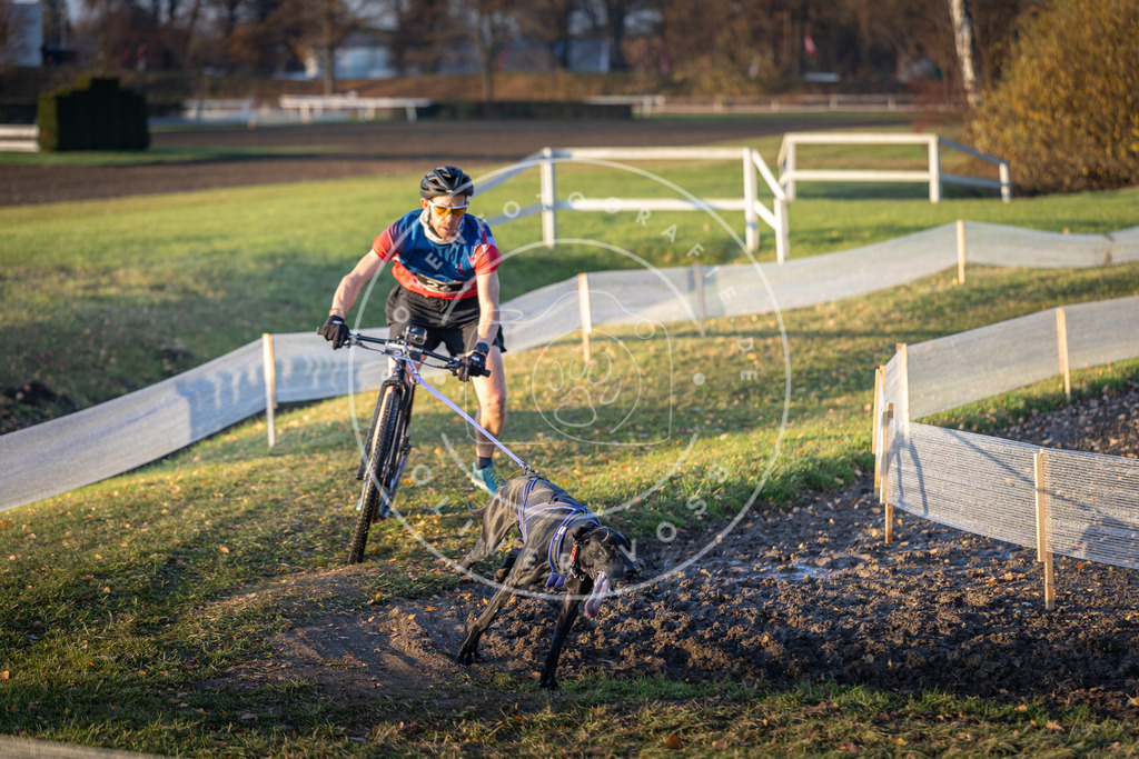CaniXpix_DV3A9827 | Hundefotografie, Tierfotograf, Pfotenfotografie, Fotoshooting Hund, Hunde Portrait, Hundesport, Hundeportraits, Heideshooting, Hunde, Sportfotograf, Hundefotograf, Turnierhundsport, THS,  - Realisiert mit Pictrs.com