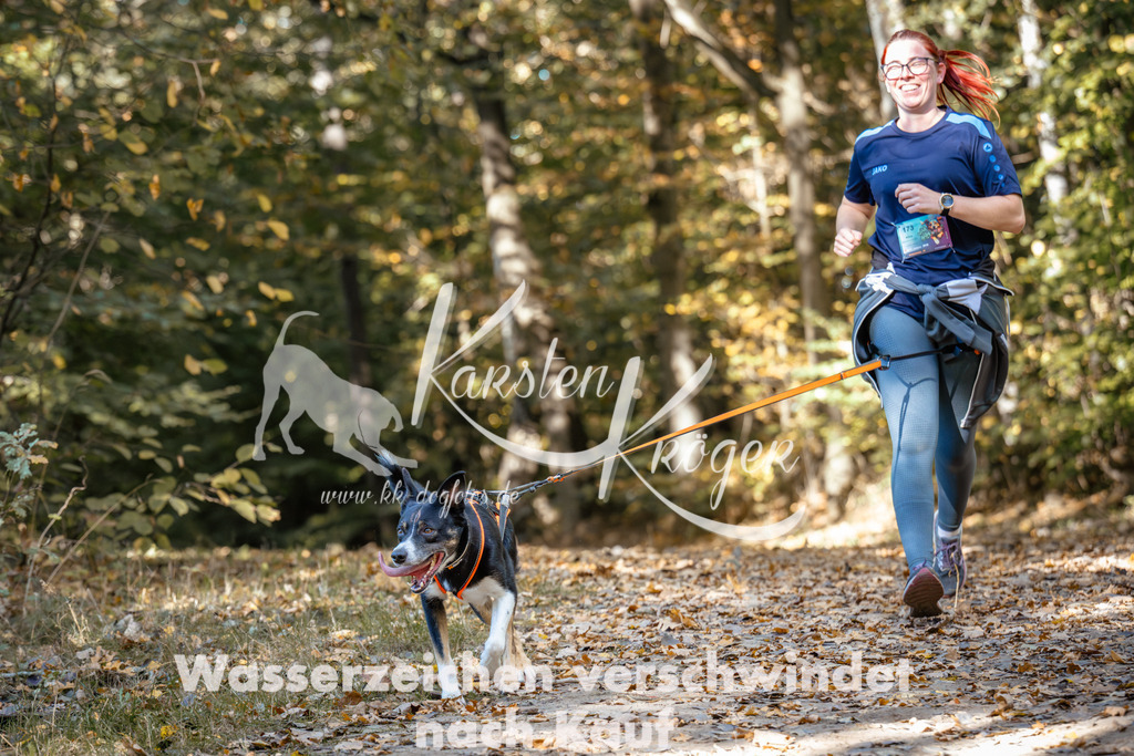 1219_ZZ94795 | kk-dogfotos