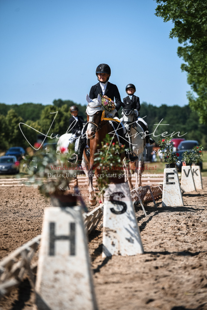 DSC_3690 | Pferde- und Turnierfotografie in Westsachsen. Pferdeportraits, Auftragszeichnungen und intuitive Kunst.
