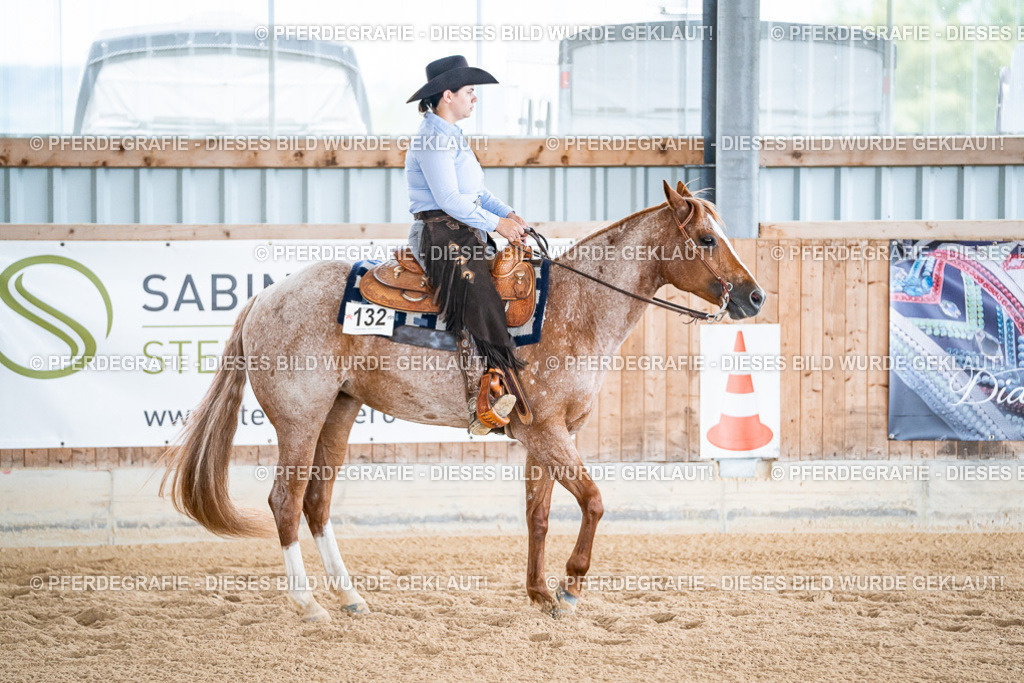 DSC08159 | Pferdegrafie