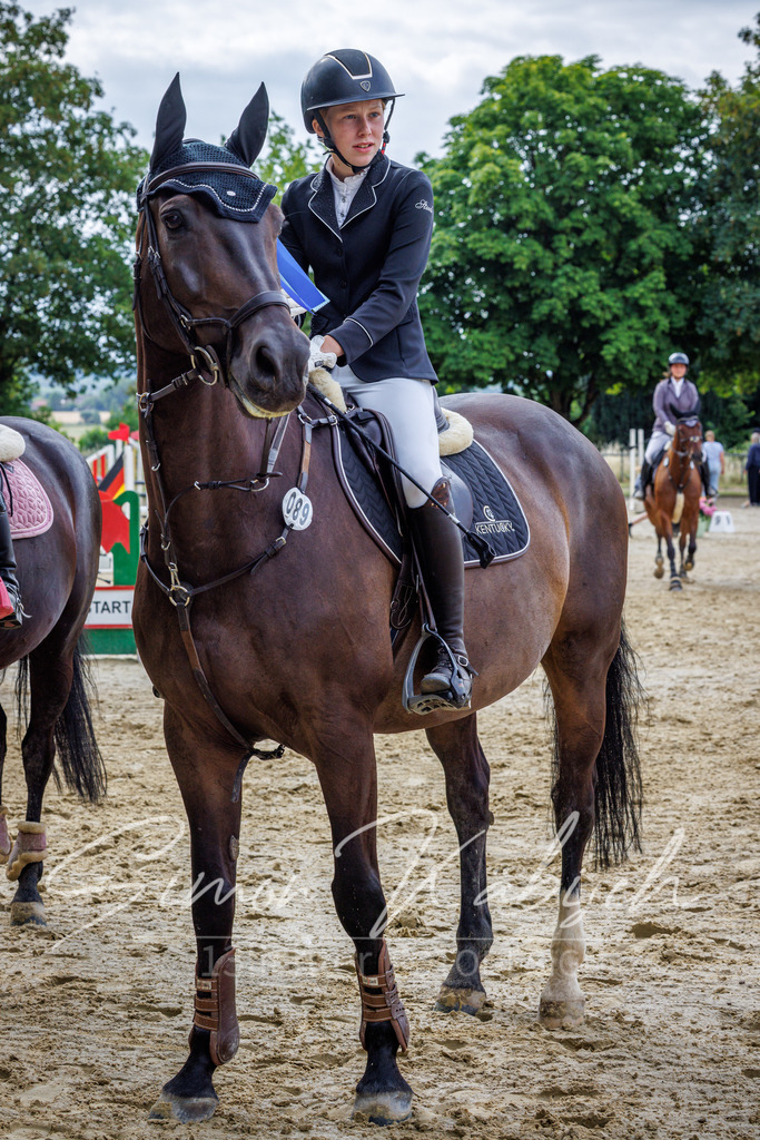 20260705-_3LI3987 | Tierfotografie Pferde, Hunde, Katzen, Haustiere.
Turnierfotografie Reitturniere, Reiten, Springreiten, Dressur in Hanau, dem Main-Kinzig-Kreis und dem Rhein-Main- Gebiet um Frankfurt