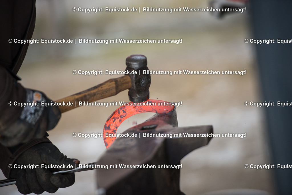 20150206_Hufschmied_0006 | equistock