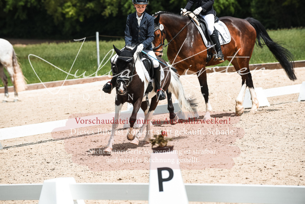 20230518_JK-Röhrsdorf-11-0411 | Pferde- und Turnierfotografie in Westsachsen. Pferdeportraits, Auftragszeichnungen und intuitive Kunst.