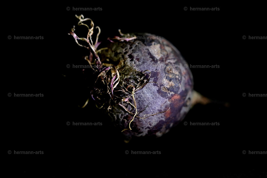 Fruits-Art-011 | Photo Foto Kunst Art schwarzweiss Bilder Rheine Münster Berlin Blumen 