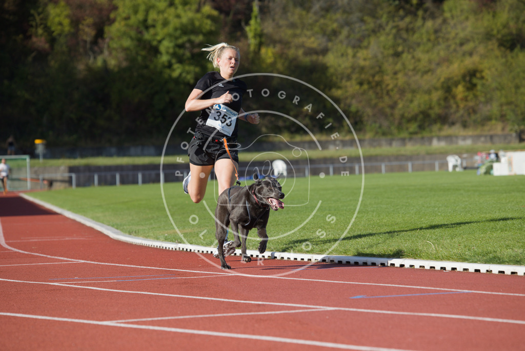 0L8A9835 | Hundefotografie, Tierfotograf, Pfotenfotografie, Fotoshooting Hund, Hunde Portrait, Hundesport, Hundeportraits, Heideshooting, Hunde, Sportfotograf, Hundefotograf, Turnierhundsport, THS,  - Realisiert mit Pictrs.com