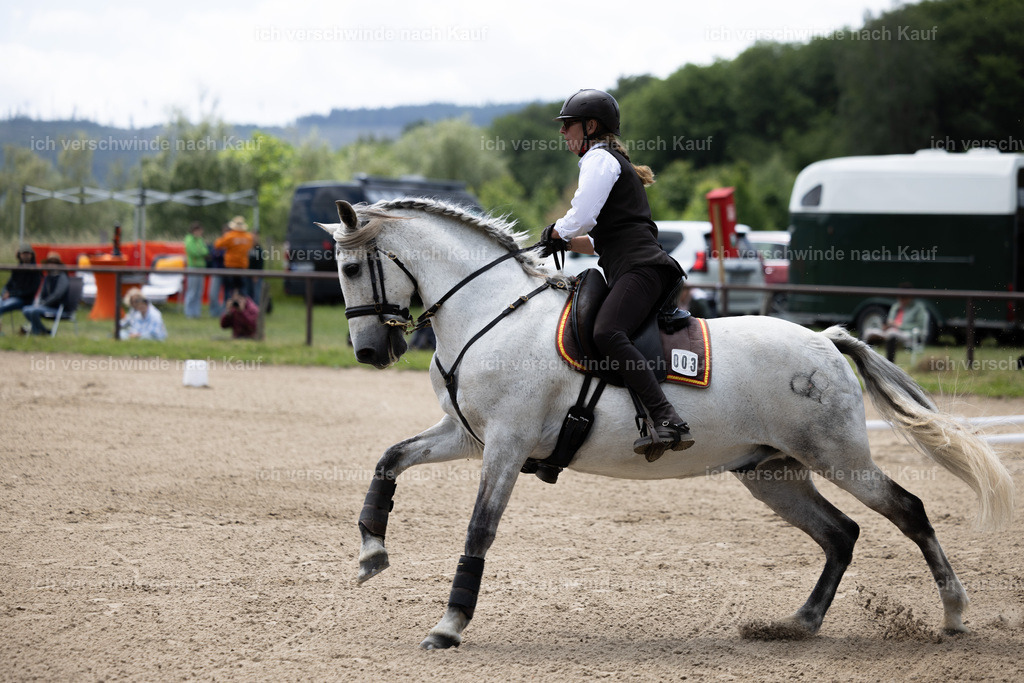 Masterclass_stoibphotography_C2_C8055.CR3 | working equitationturnier fotograf videograf stoibphotography marixx film working equitation deutschland reitsport turnierfotografie eventfotografie equestrian events