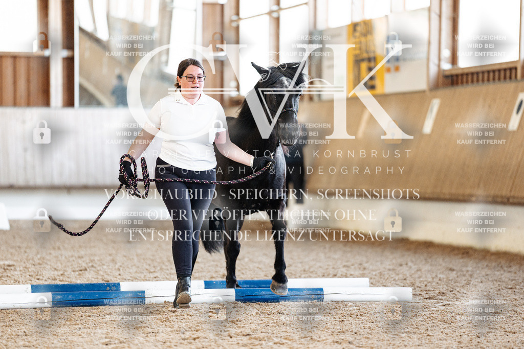 CK905693 | Turnierfotografie Pferdefotografie Trier Rheinland-Pfalz Pferdesport Reitsport Tierfotografie Sportfotografie Pferdevideo Pferdevideografie Equestrianvideography equestrianphotography  - Realisiert mit Pictrs.com