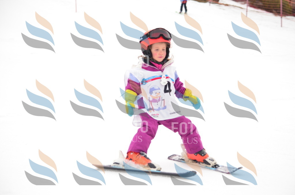 B9044 | holidayphoto