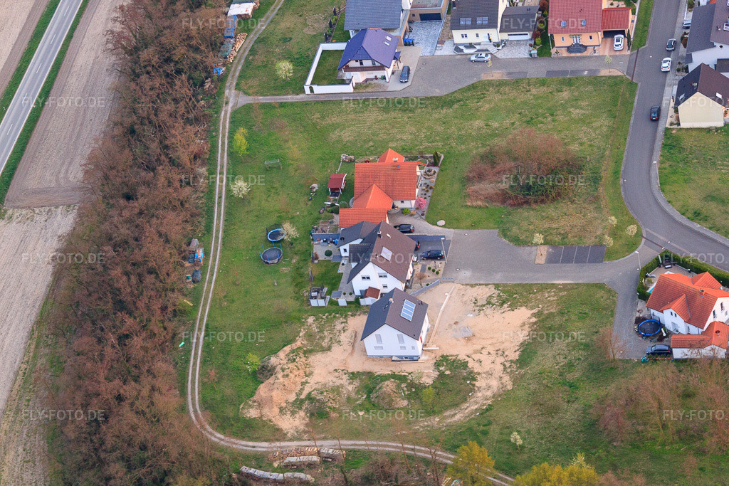 Luftbild: Distelweg im Ortsteil Hardtwald in Neupotz im Bundesland Rheinland-Pfalz in Deutschland. Foto: IMG_63579.jpg vom 28.03.2014 durch Werner Riehm/FLY-FOTO.deAuflösung des Originals: 4752 x 3168 px