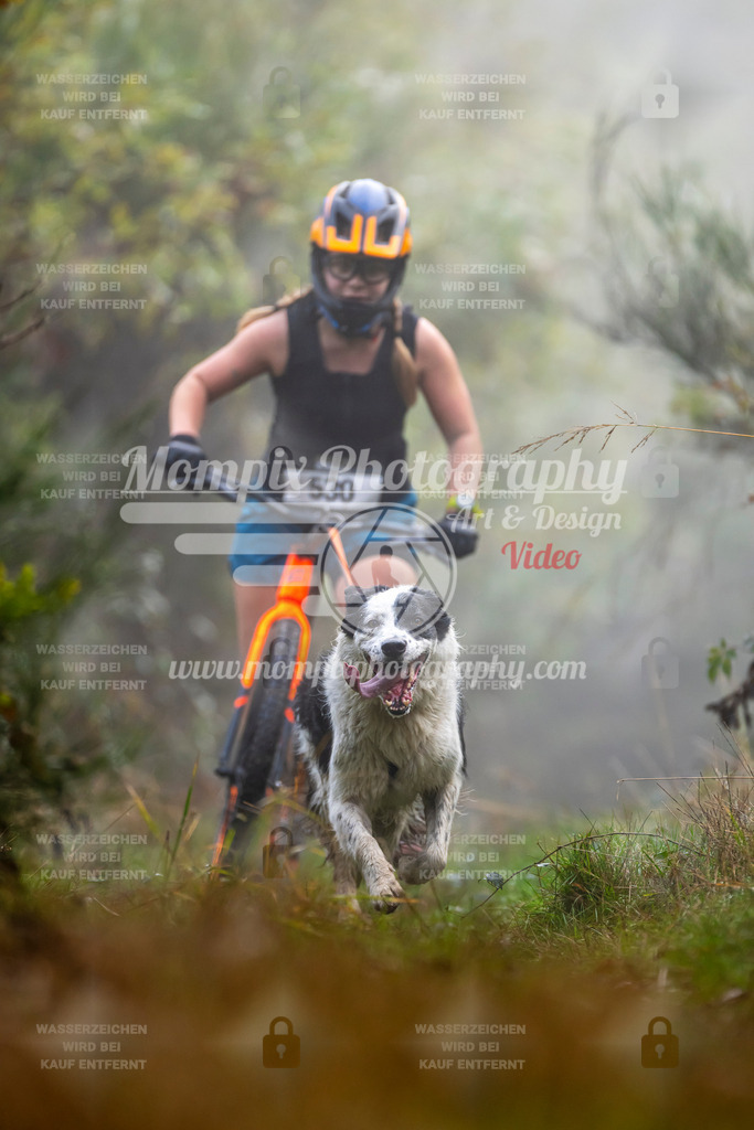 MompixPhotography_20TSB_E4_DS1-56 | PayLife