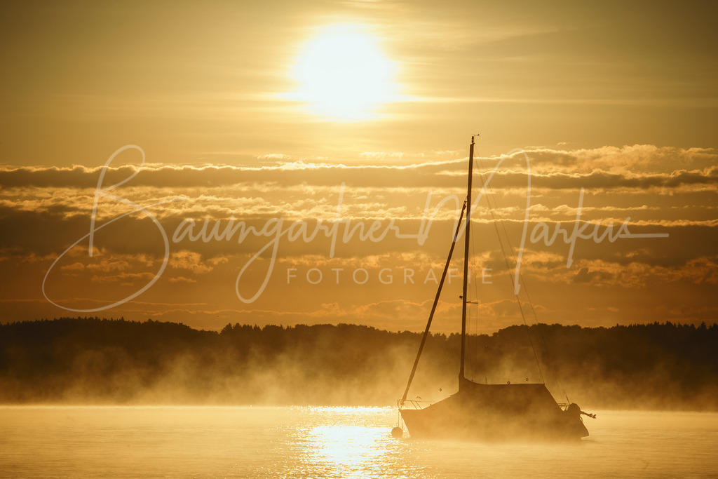 _DSC8896-Bearbeitet_WEB | Baumgartner Markus Fotografie