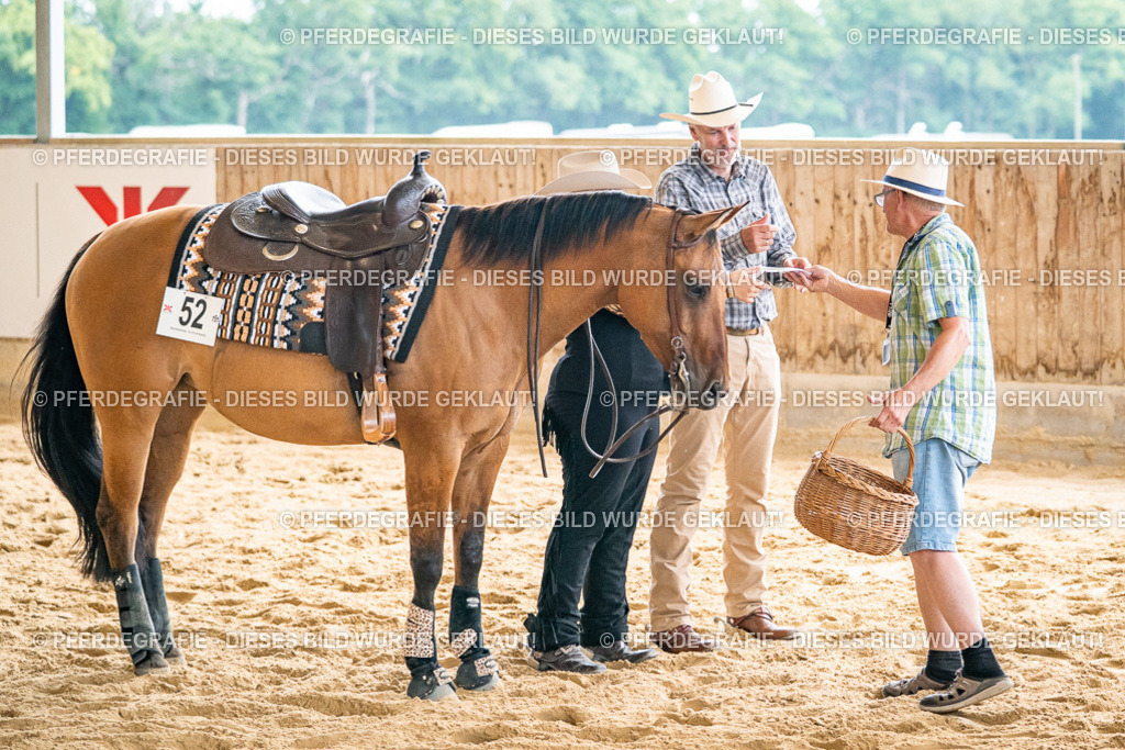 DSC07518 | Pferdegrafie