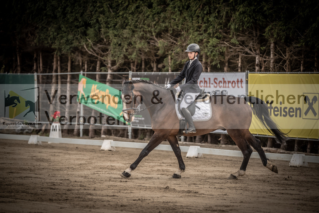 DSC_8333 | equestrian-live-com